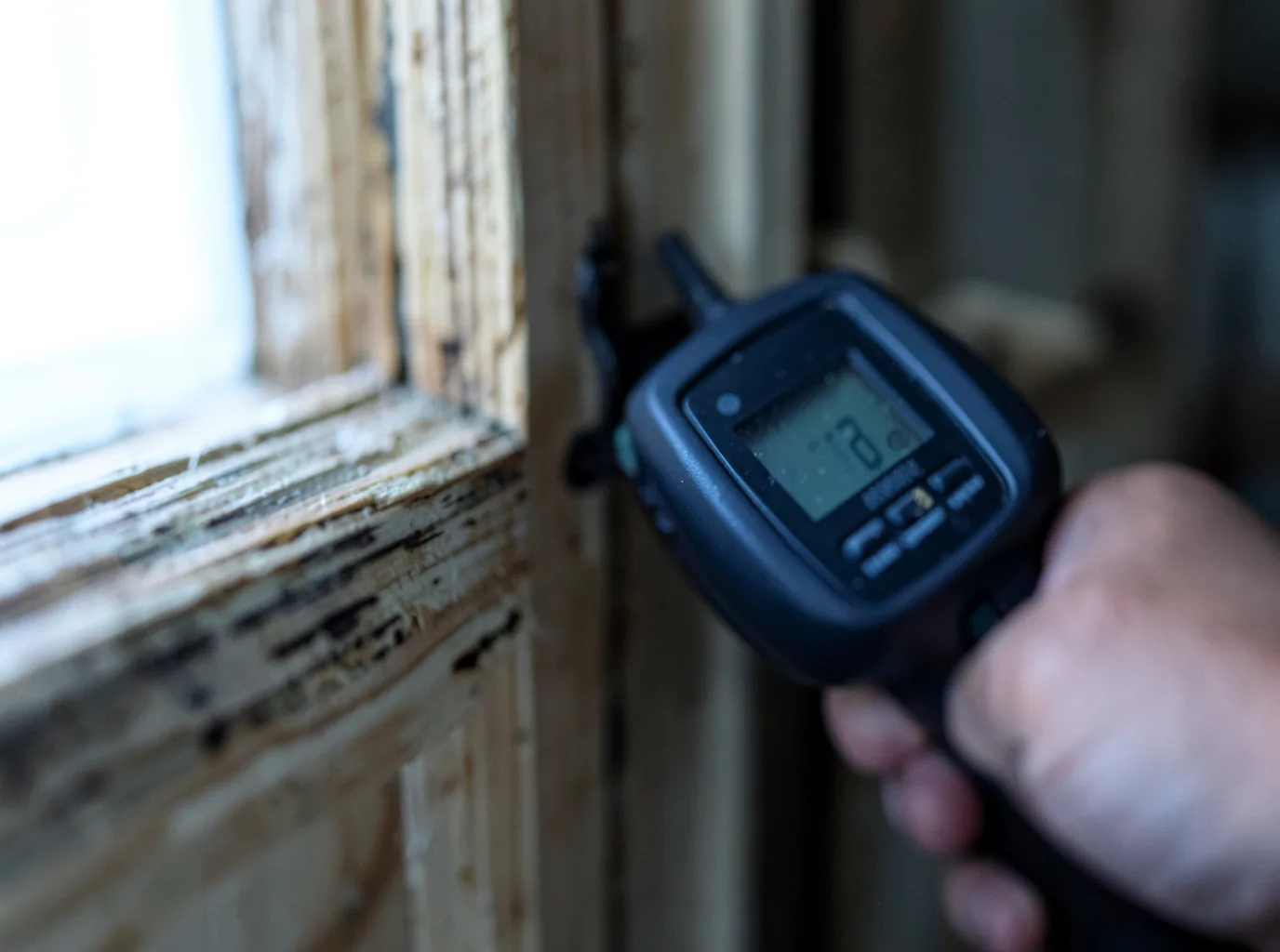 Commercial Water Damage Restoration in Wellington, CO